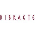 bibracte_small