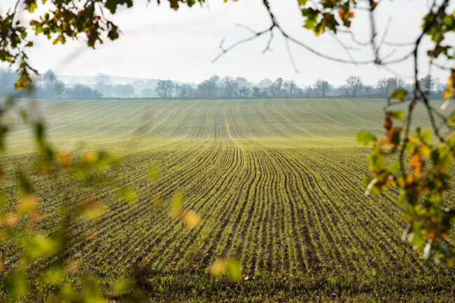 L’agriculture Nivernaise © Département de la Nièvre, Johan Boulet
