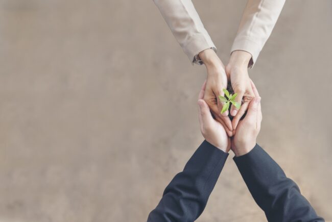 Sustainable Collaboration Green Ecology Business Company. Trust Partners Team Welcome hands holding green plant together. Hands Stacked of Partners with Green Sustainable Develop Business Concept.