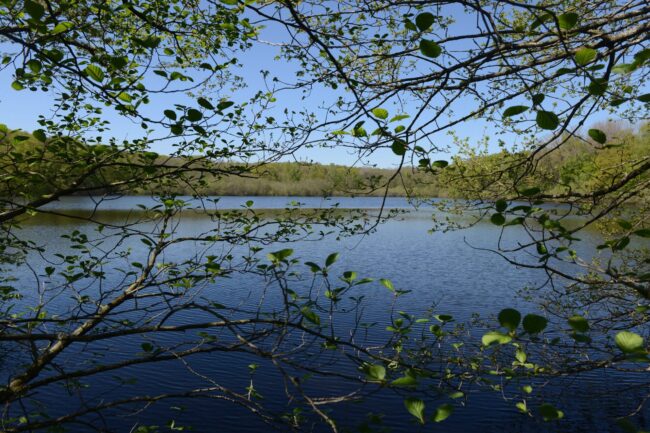 Etang du Merle