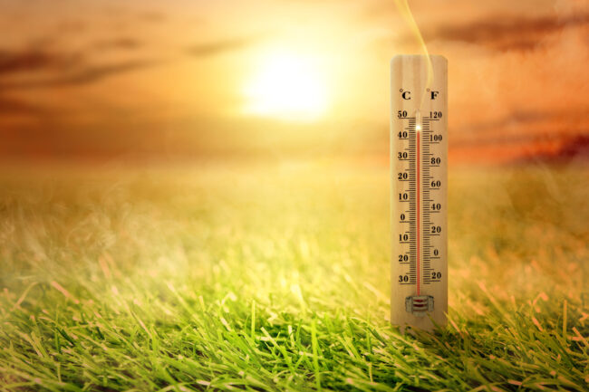 Thermometer with high temperature on the meadow with glowing sun