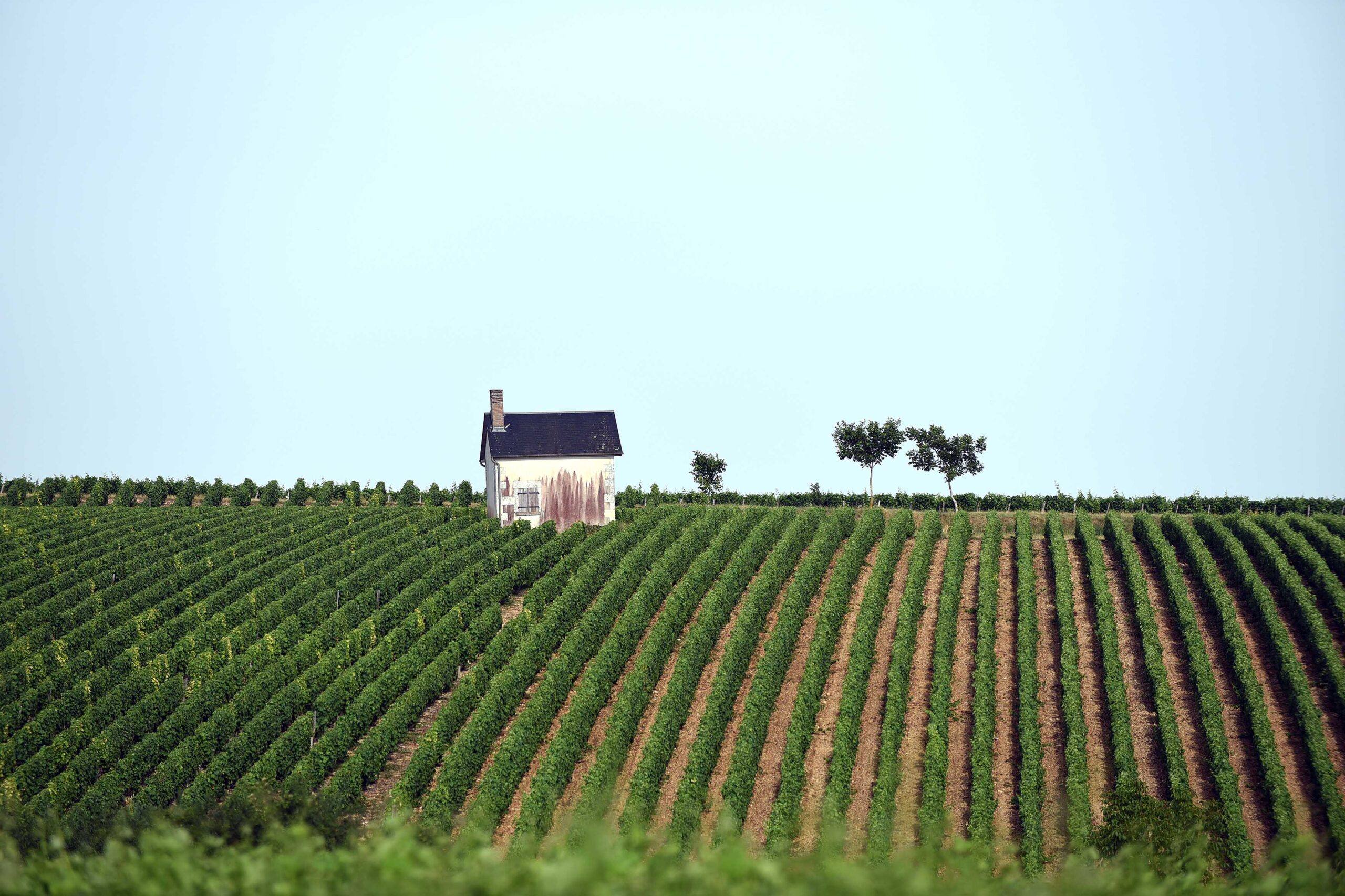 CD20150702_123-copie-scaled