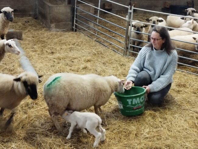 Marie Dominique Commaille Ecopâturage Magny-Cours