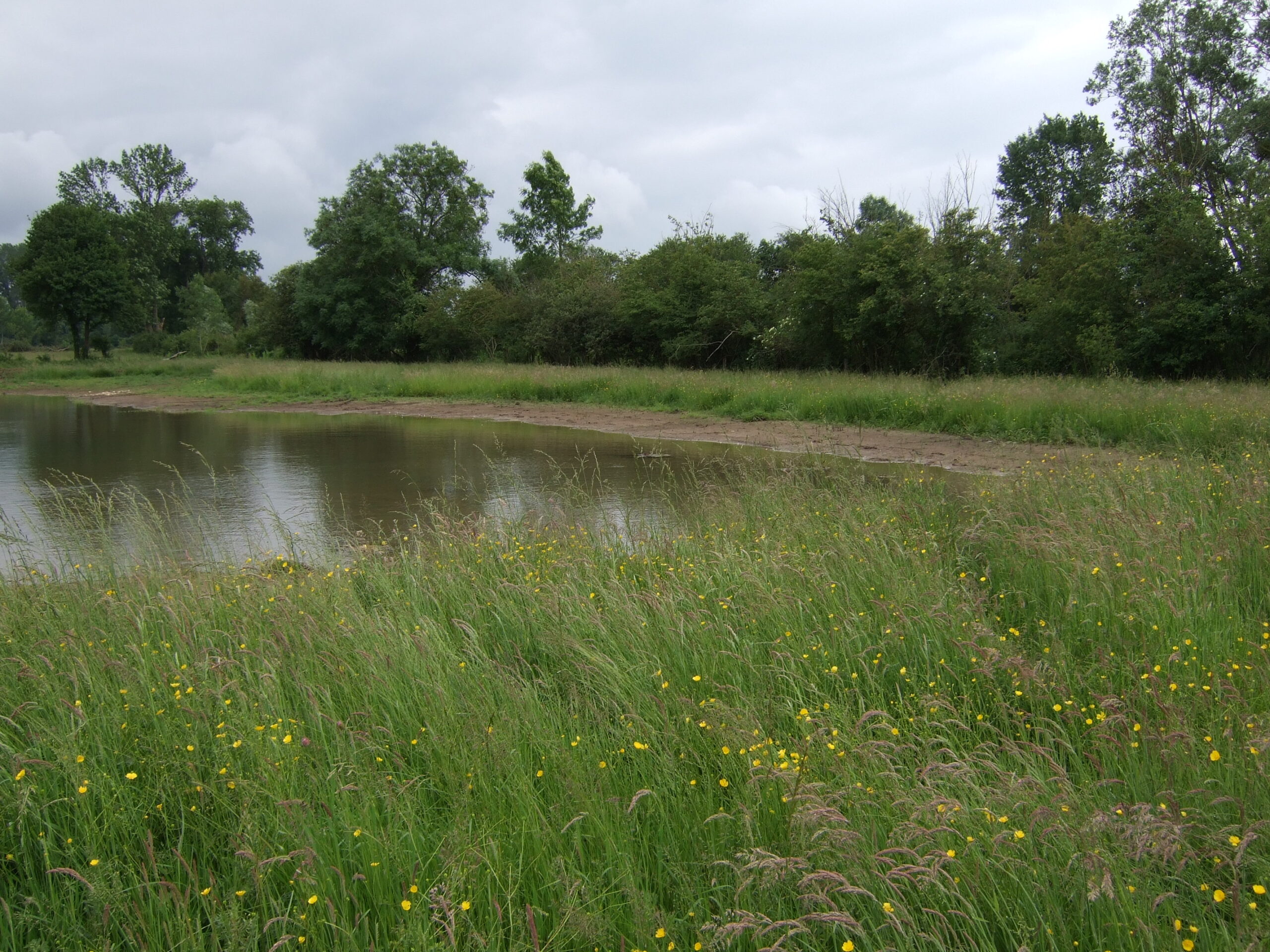 La Mare aux Demoiselles à Magny-Cours
