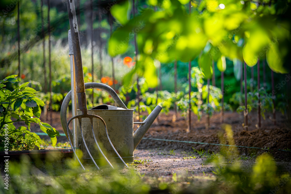 1000_F_475269099_Eehi0FHB2t6emq20ffLMOaxE07ME30JH