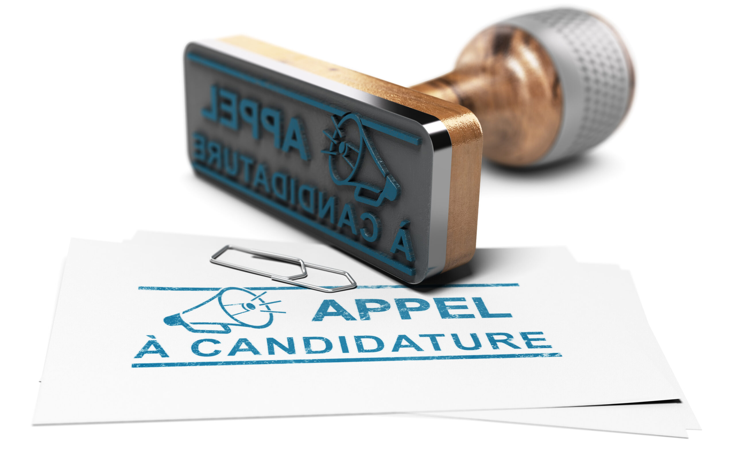Lancement d’un appel à candidature.