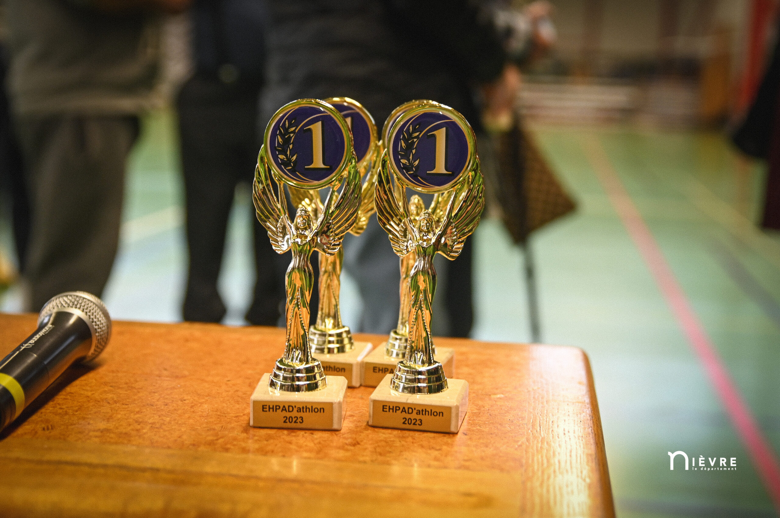 DECIZE SAINT LEGER EHPADATHLON 1511 (703)