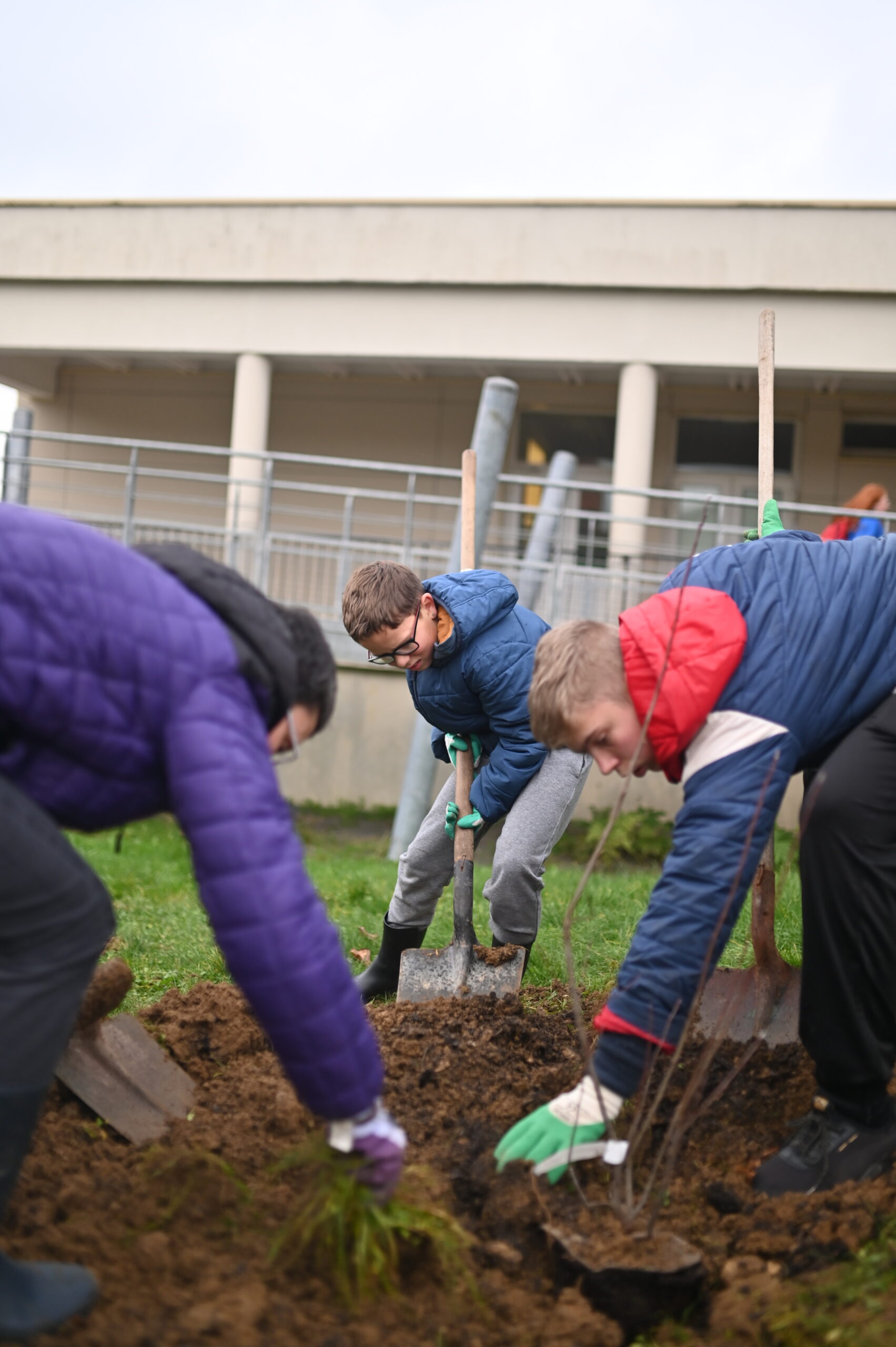 Engagement #10 Sensibiliser aux enjeux à venir avec la mise en place d’un plan Biodiversité dans chaque collège