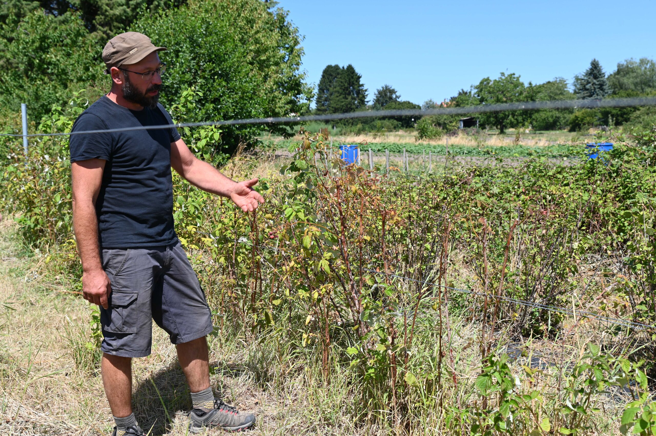 Engagements #15 et #16 Soutenir la profession agricole