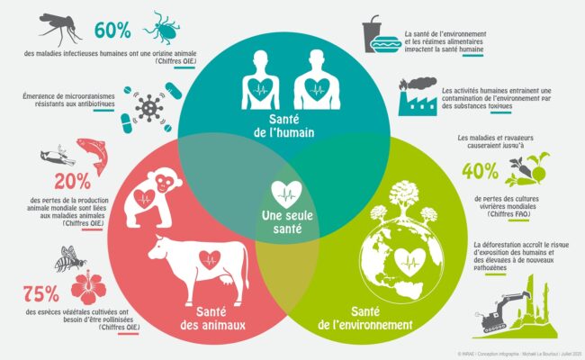 Illustration One Health_web