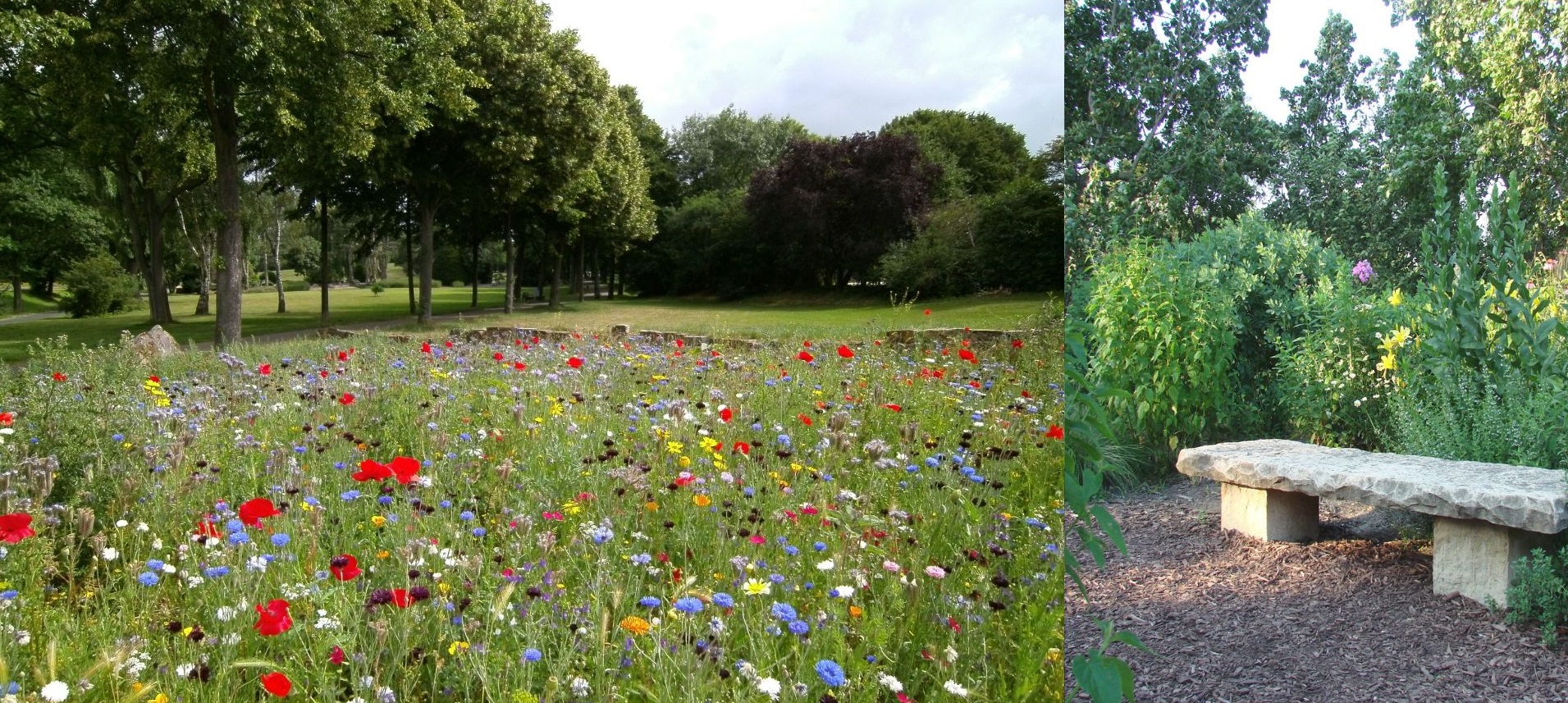 exemple_gestion raisonnée espace vert