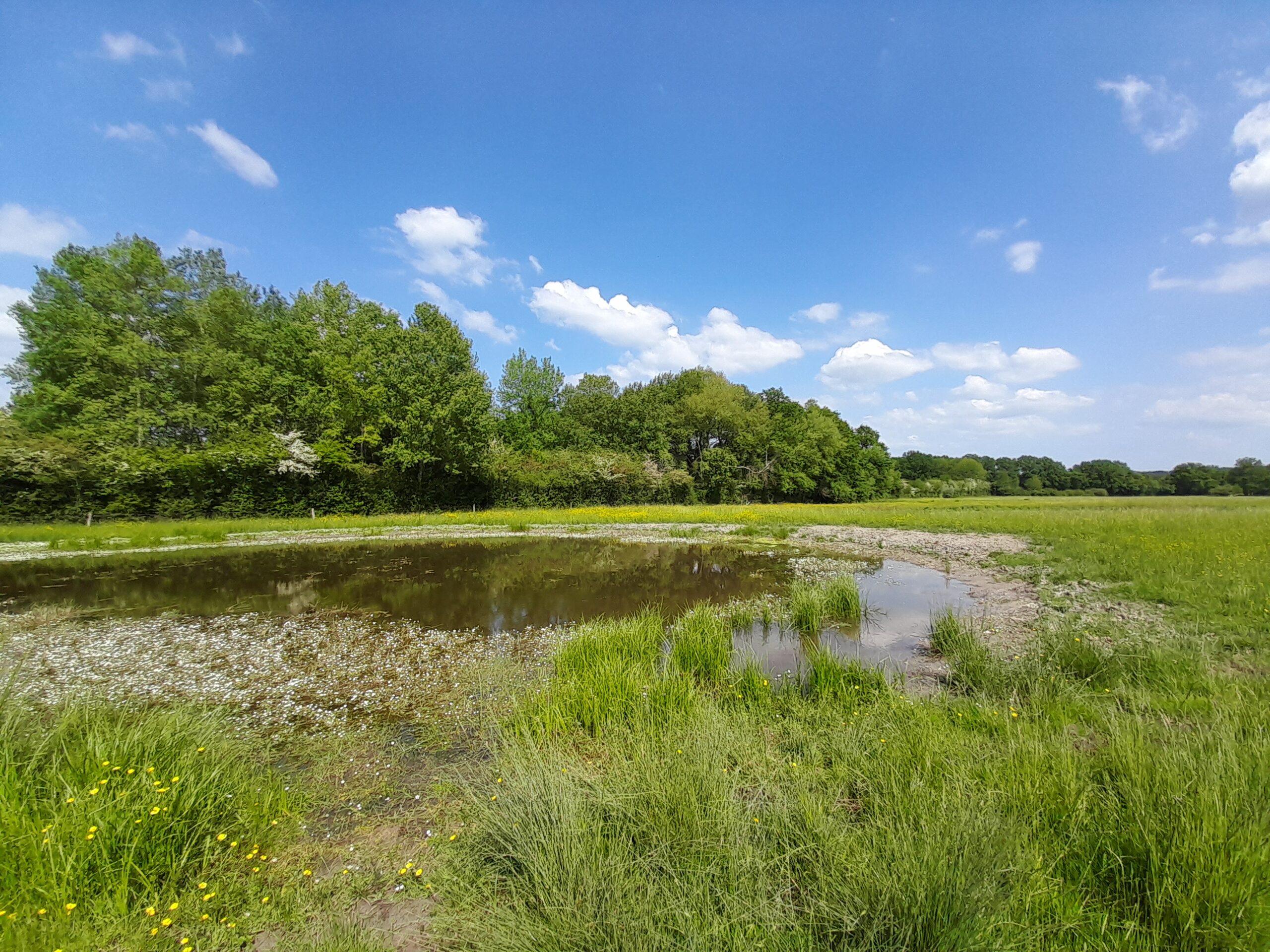 mare-agricole
