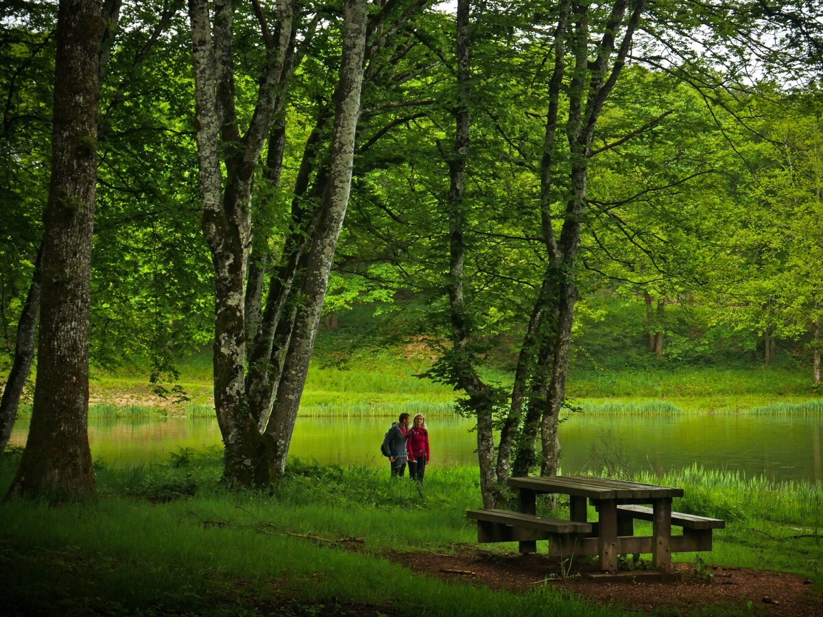 Etang_Grenetier-(c)Carnet_de_Rando_David_GENESTAL crédit photo Carnet_de_Rando_David_GENESTA