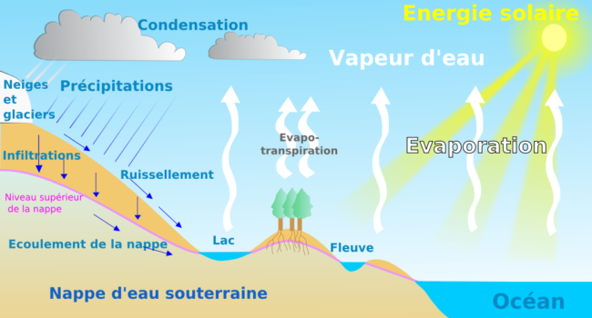 Cycle_de_l’eau_Par toony _Travail personnel, CC BY 3.0