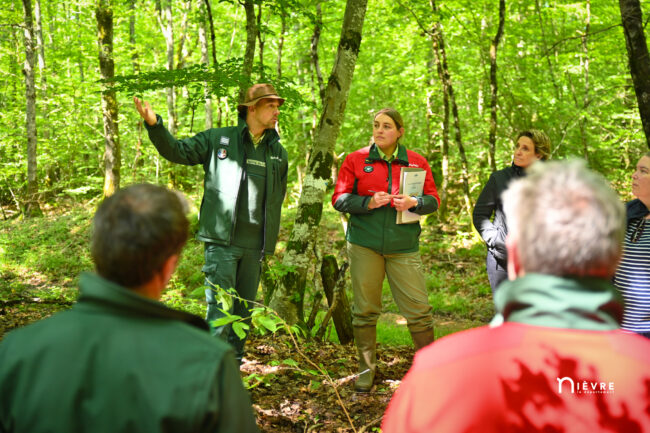visite saint honore les bains foret departementale (25)