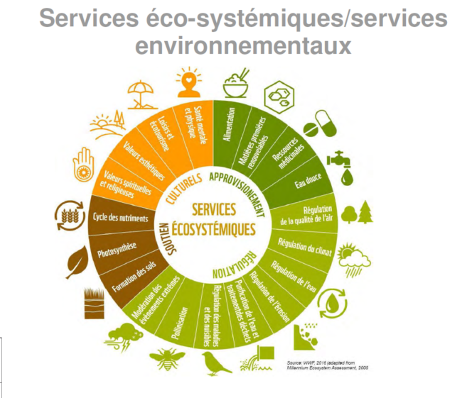 services_écosystémiques