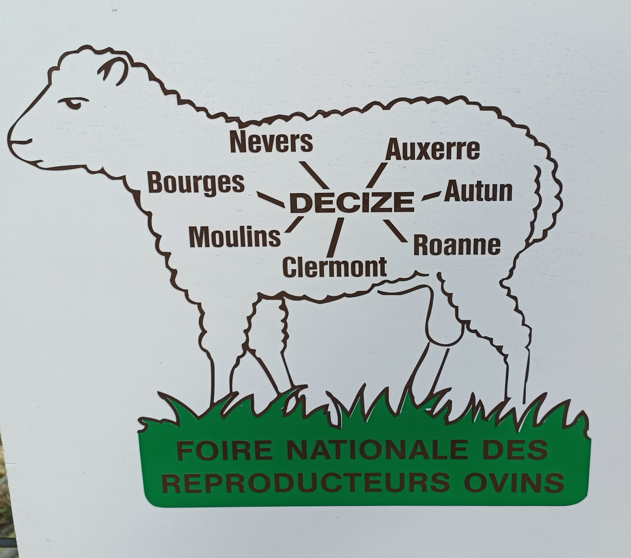 456086062_8573422842690239_4897804875357123455_n