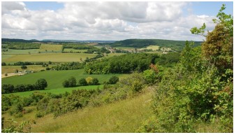 Pelouses du Plateau du Beuvron