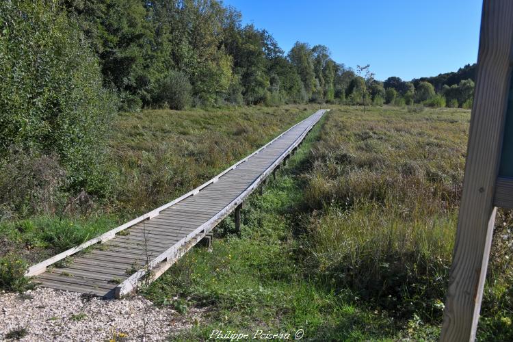 Vallée de la Talvanne