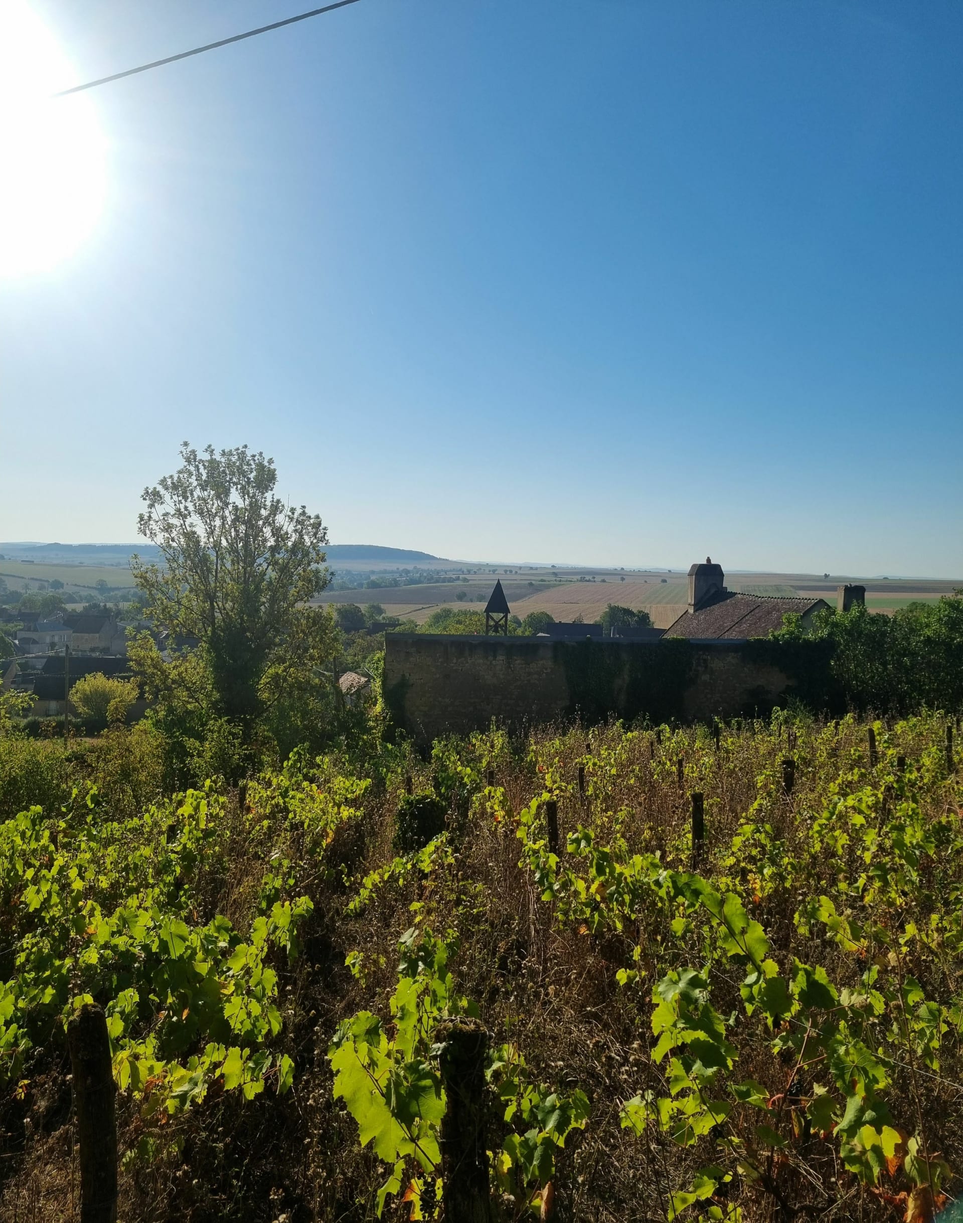 Butte de La Montagne (Metz-le-Comte)