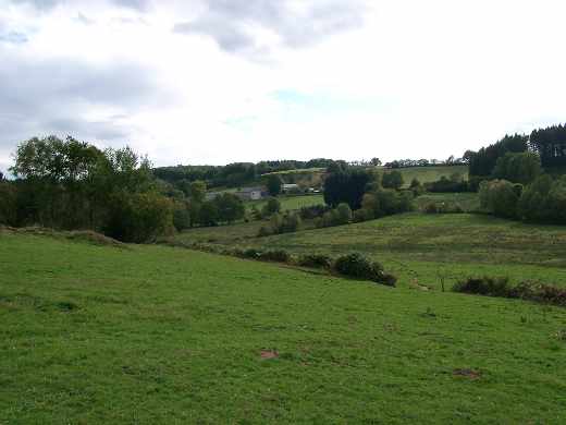 Tourbière du ruisseau des Blancs (Saint-Agnan)