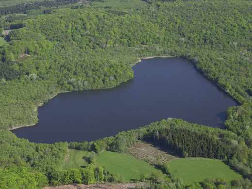 Étang des Hâtes (Alligny-en-Morvan)