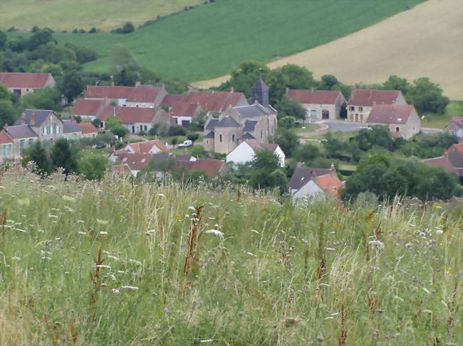 Coteau de Malvoisine, les Grands Buissons (Nannay)