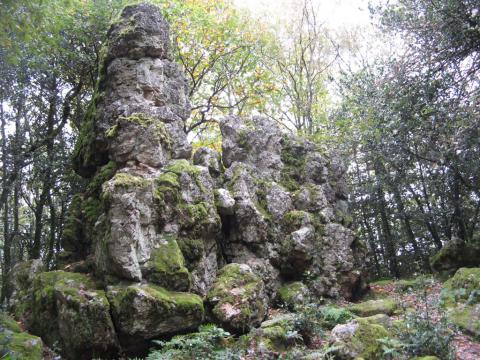 Site inscrit du rocher de La Pierre Aigüe (Villapourçon)