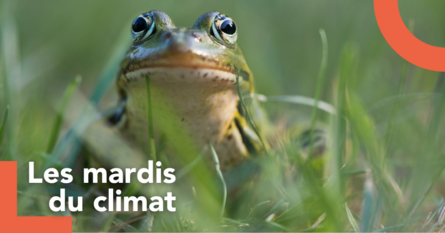 mardis du climat(4)