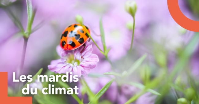 mardis du climat(5)