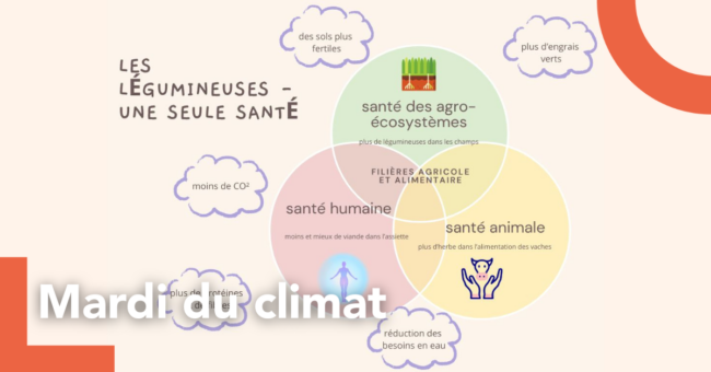 mardis du climat