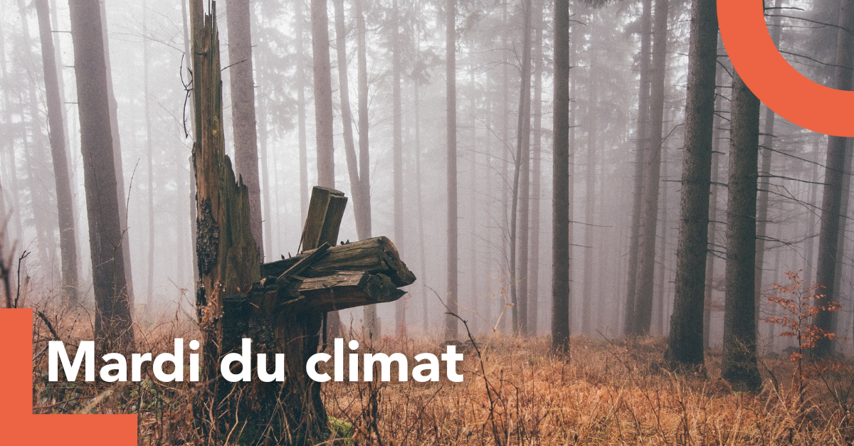 mardis du climat(8)