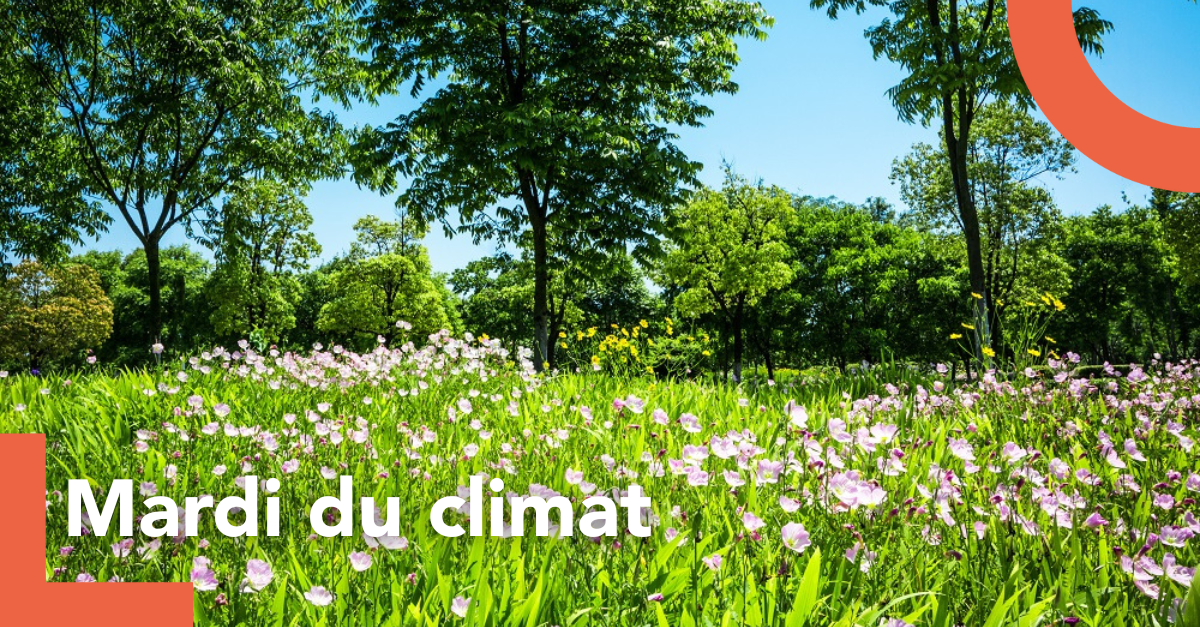 mardis du climat(11)