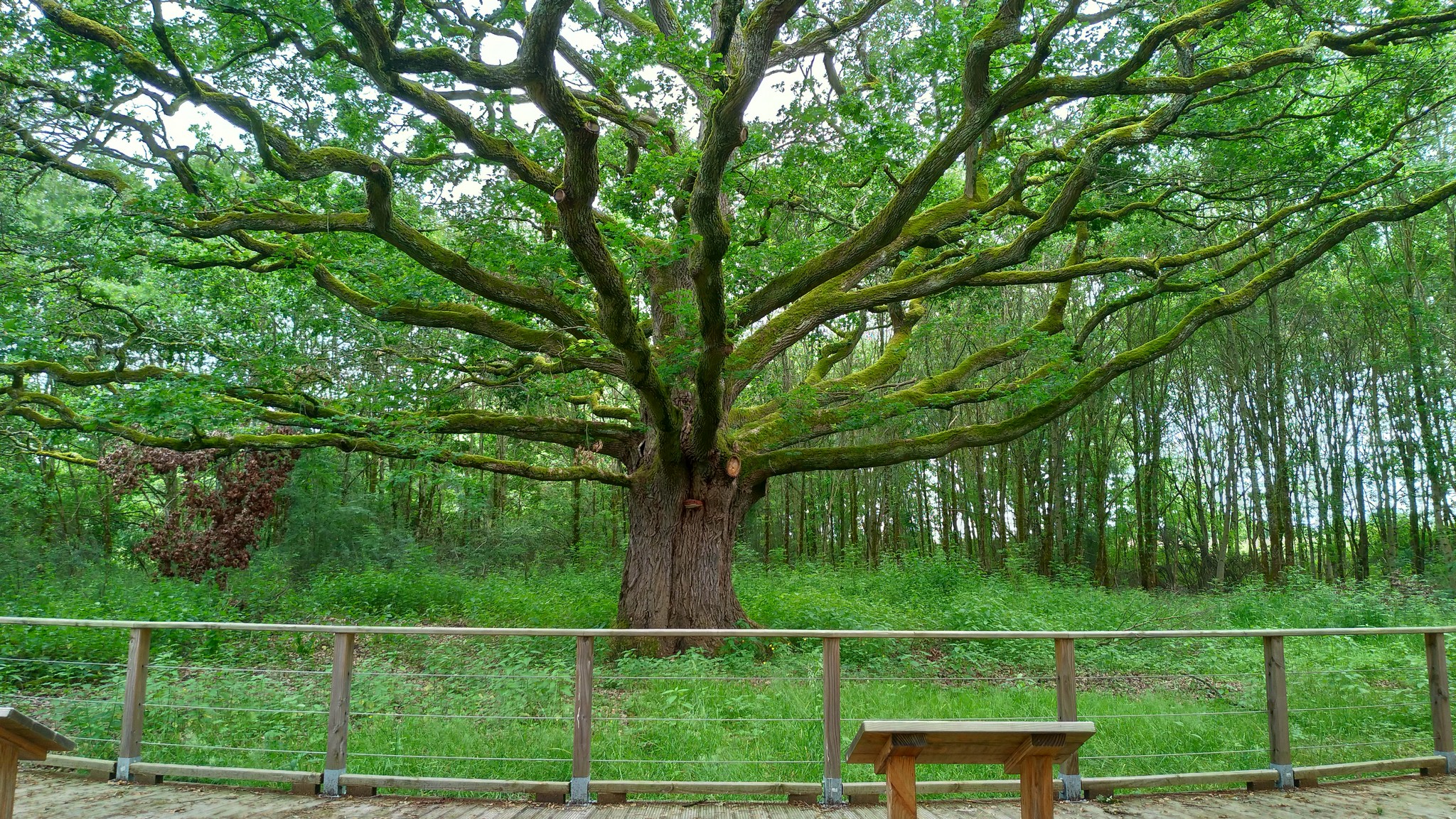 ArcheBiodiversite
