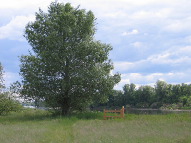 BROCS-070504-Vue gardes-corps 01(FA)