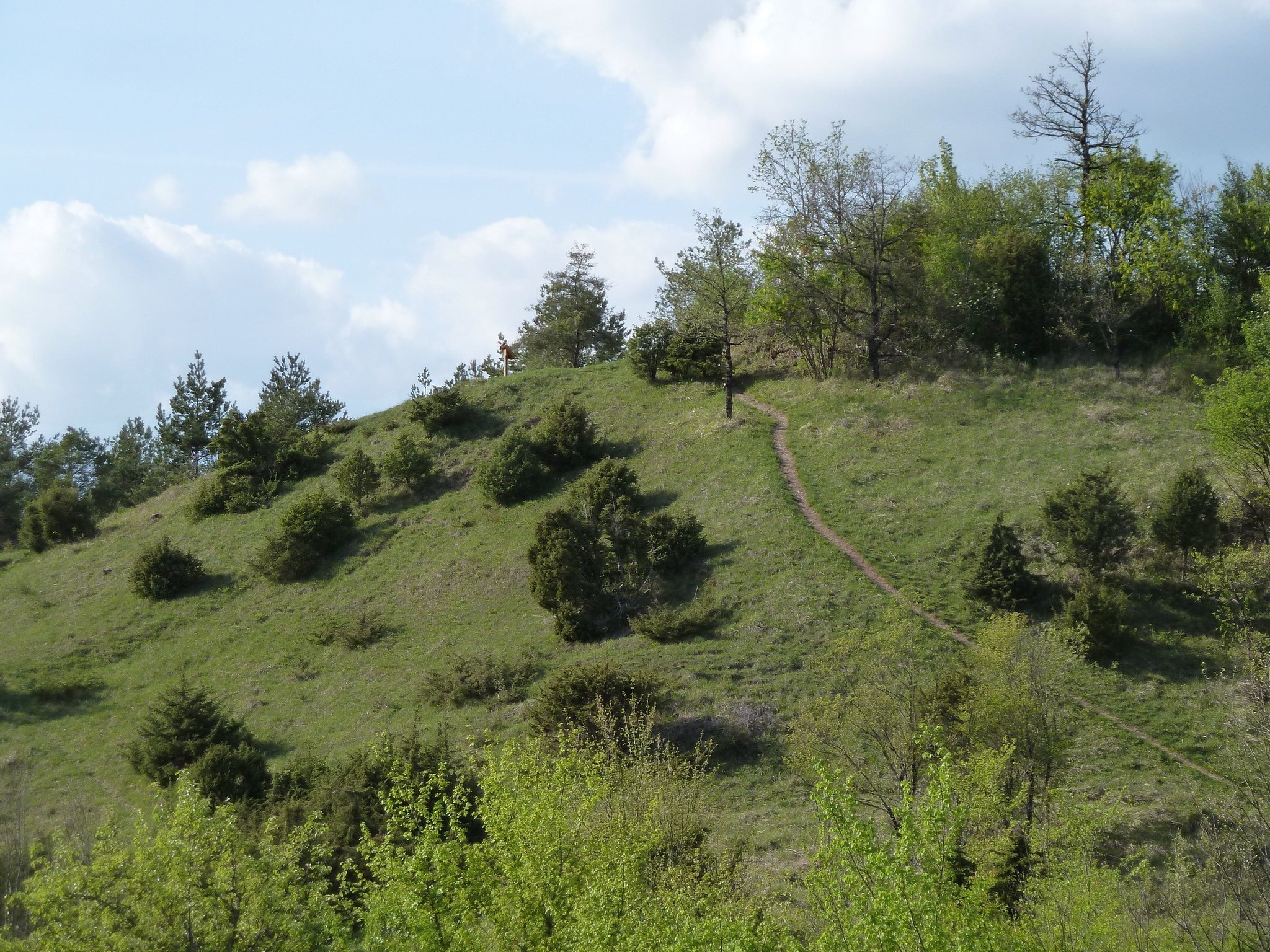 Le Coteau de Chaumois à Parigny-les-Vaux