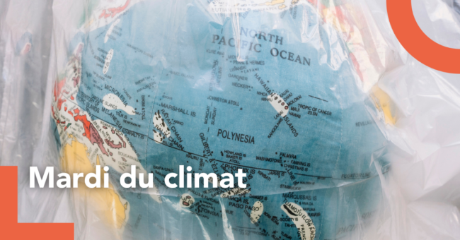 mardi climat