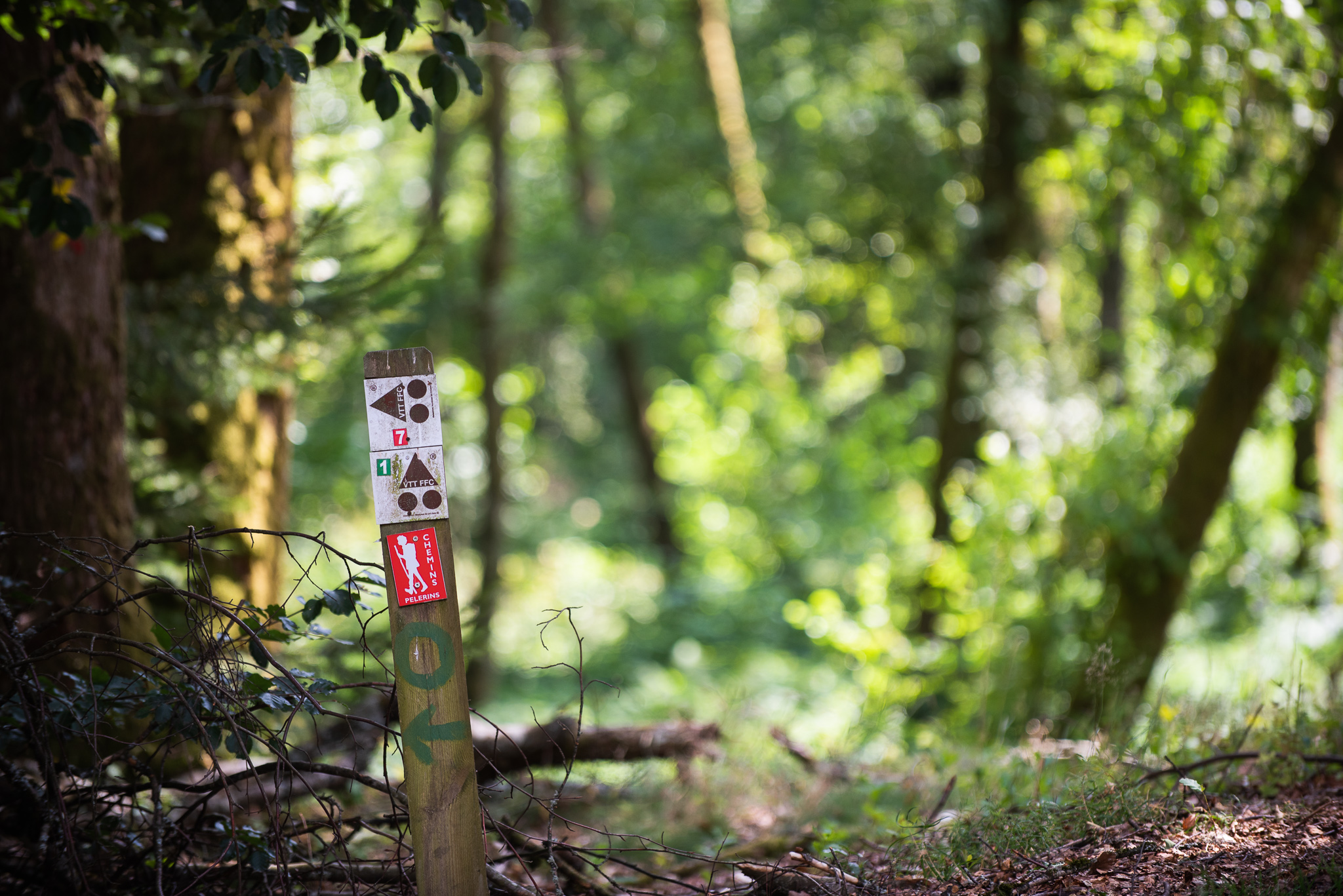 Engagement #18 Créer des liens entre la Loire et le Morvan à travers des circuits touristiques complets et le développement de réseau de sentiers de randonnée