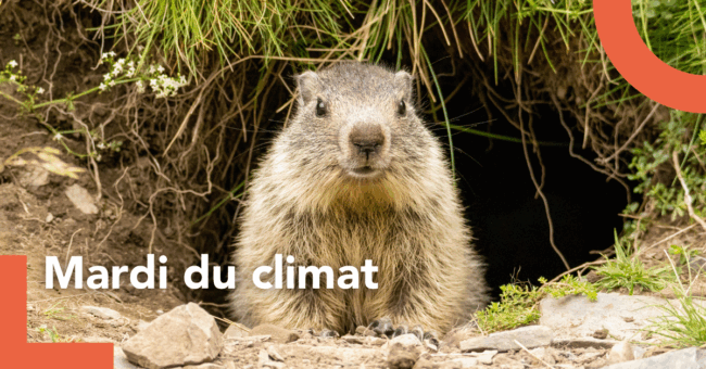 mardi climat (2)