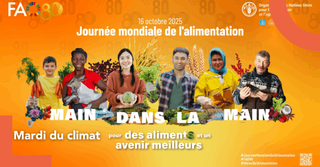 mardi climat 1410 alimentation