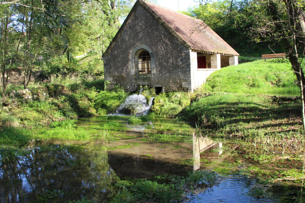 crédit photo CCHNVY