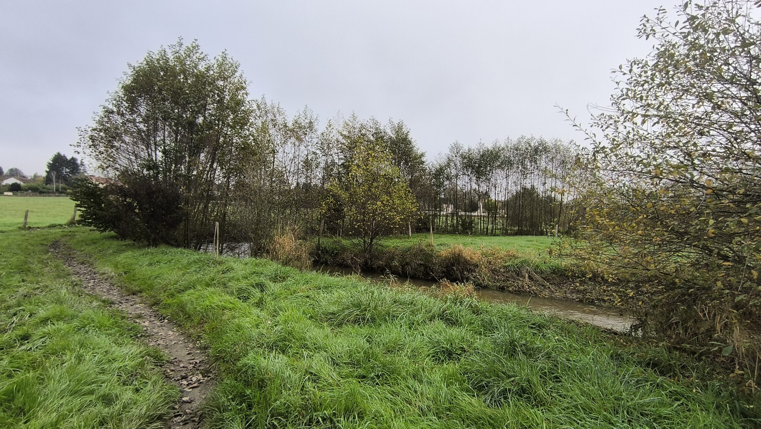 18_PrairiesHumides_Luzy